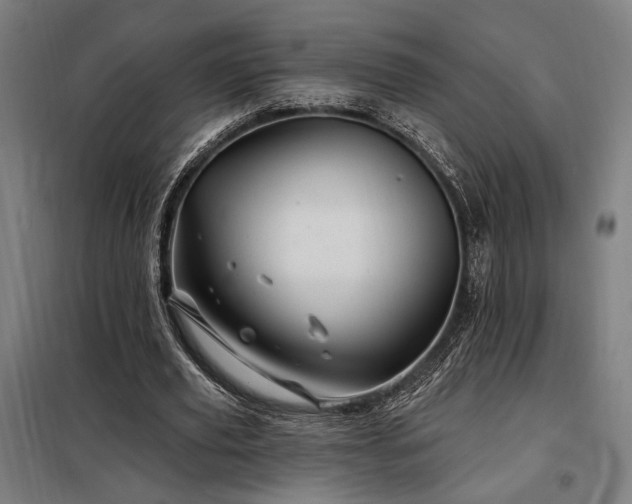 X0000097990629200804021009
