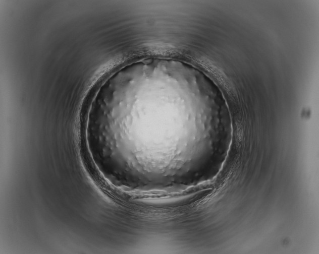X0000097990630200804021009