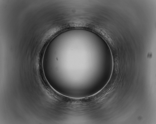 X0000097990631200804021009