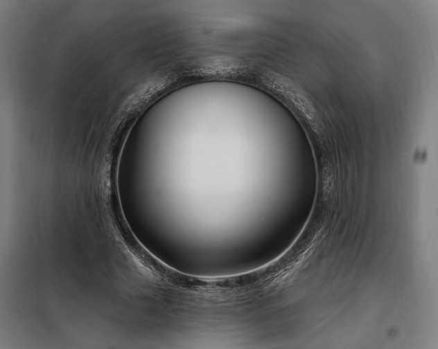 X0000097990633200804021009