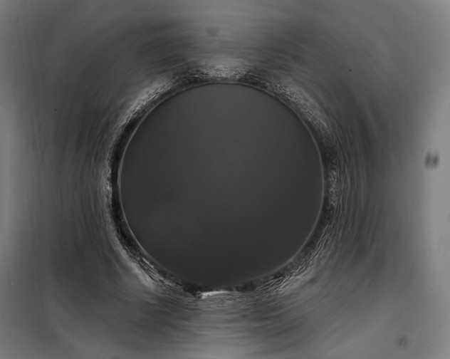X0000097990634200804021009