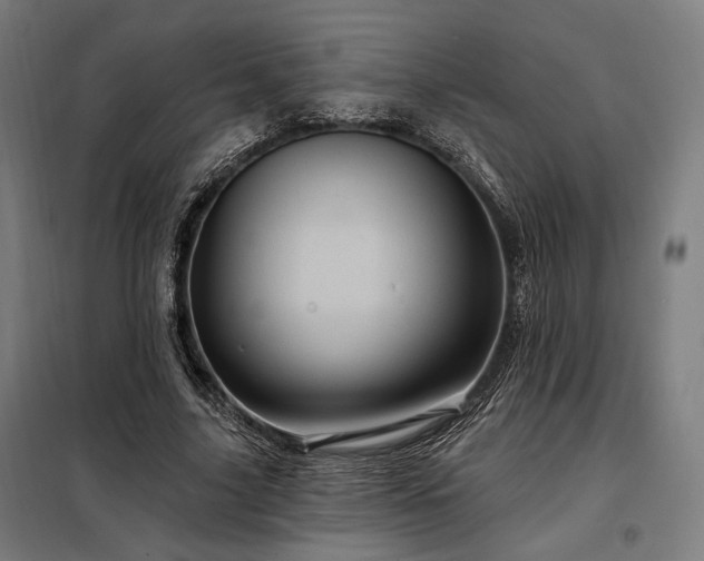 X0000097990635200804021009