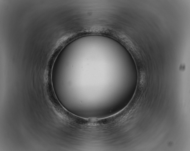 X0000097990636200804021009
