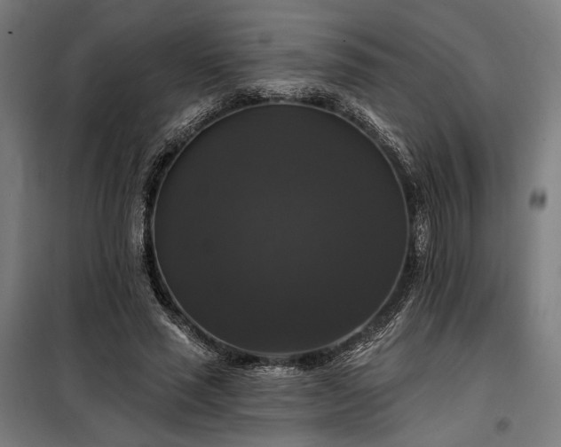 X0000097990637200804021009