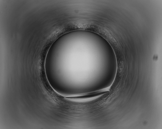 X0000097990639200804021009
