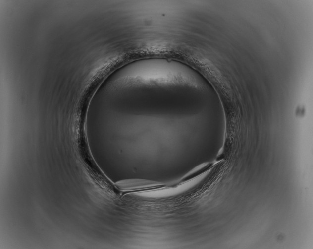 X0000097990640200804021009