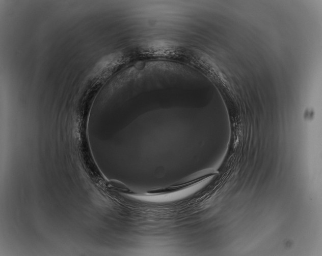 X0000097990643200804021009