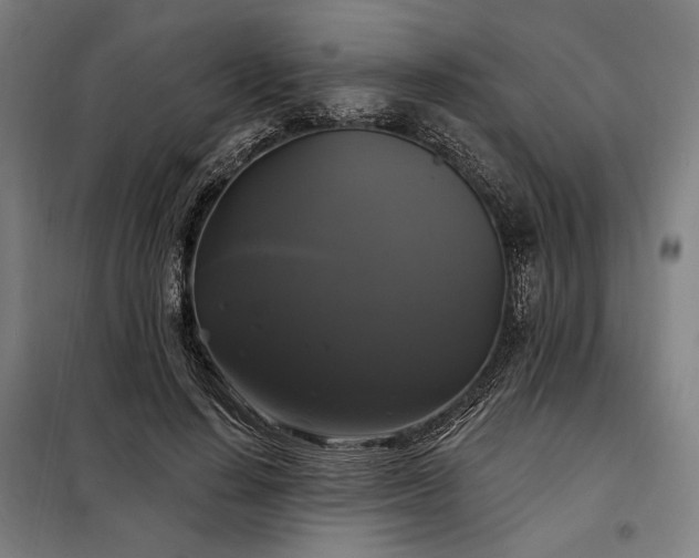 X0000097990644200804021009