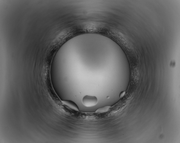 X0000097990645200804021009