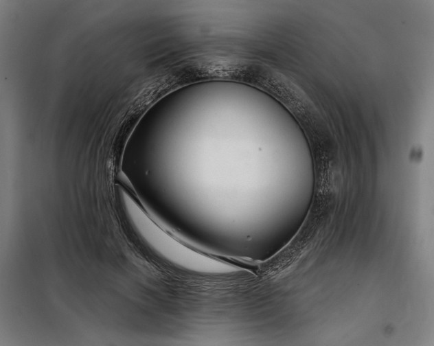 X0000097990646200804021009