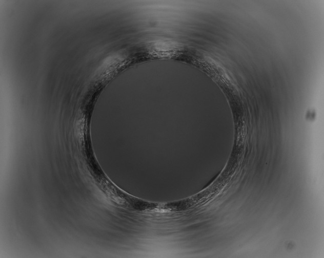X0000097990647200804021009
