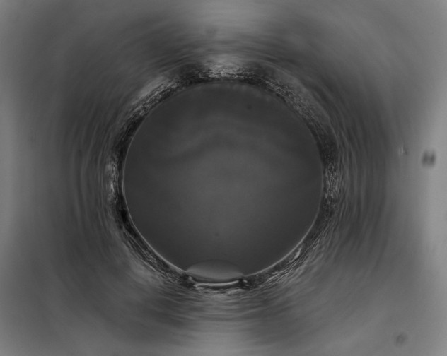 X0000097990648200804021009