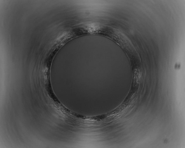 X0000097990650200804021009