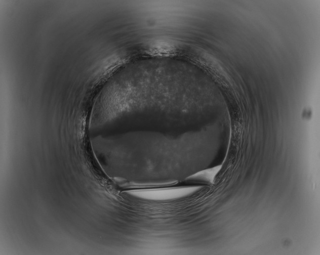 X0000097990652200804021009