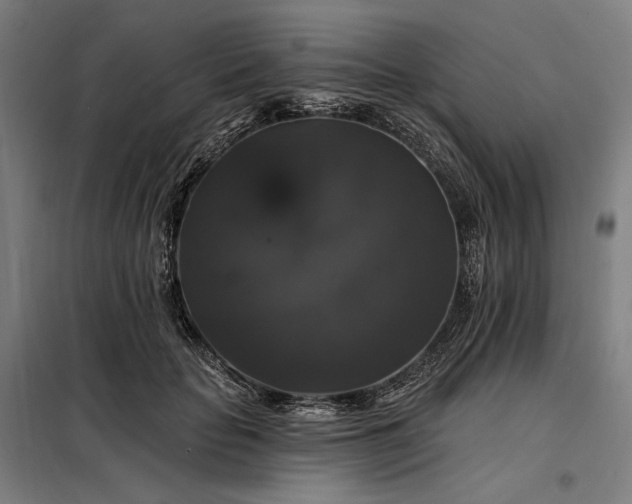 X0000097990653200804021009