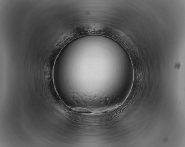X0000097990654200804021009