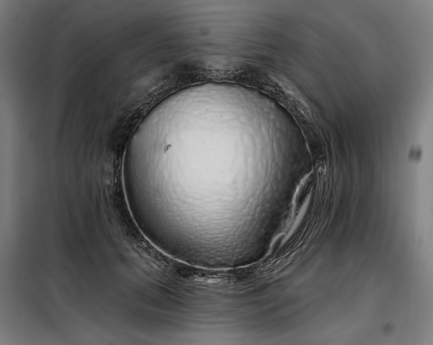 X0000097990655200804021009