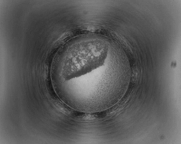 X0000097990656200804021009