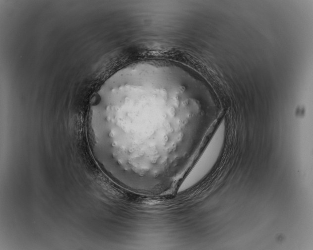 X0000097990657200804021009