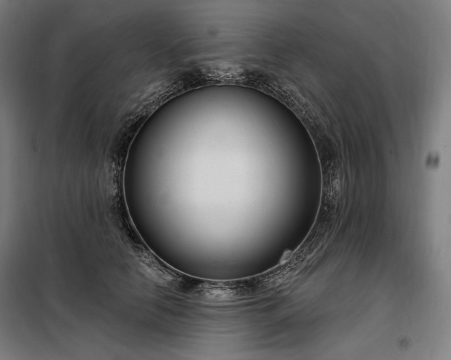 X0000097990658200804021009