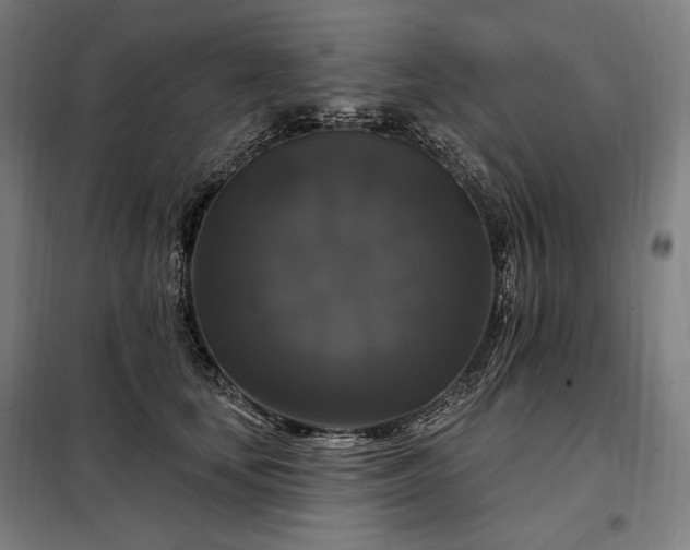 X0000097990659200804021010