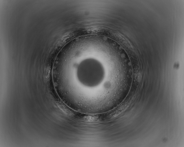X0000097990660200804021010