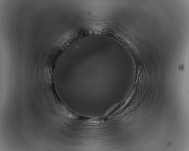 X0000097990661200804021010