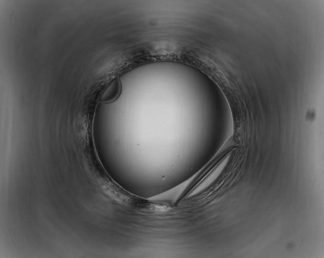 X0000097990662200804021010
