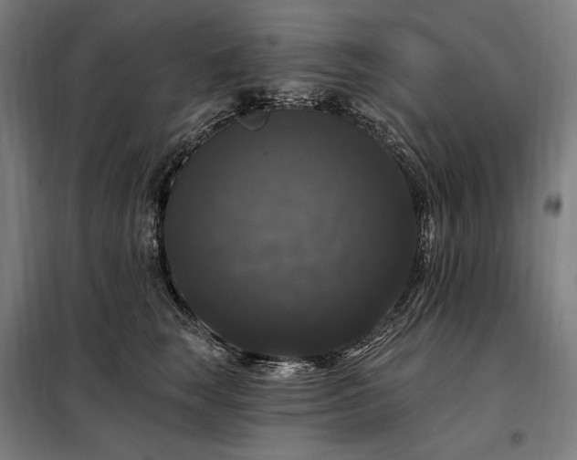X0000097990663200804021010
