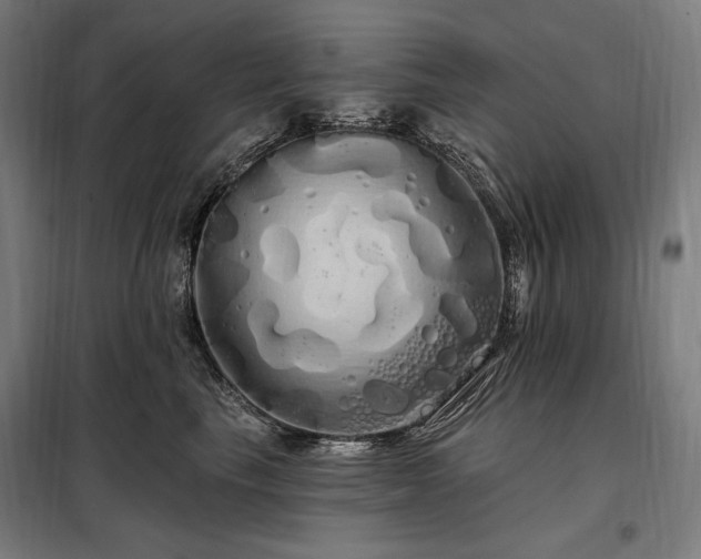 X0000097990665200804021010