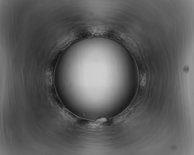 X0000097990666200804021010