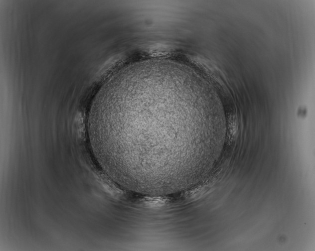 X0000097990667200804021010