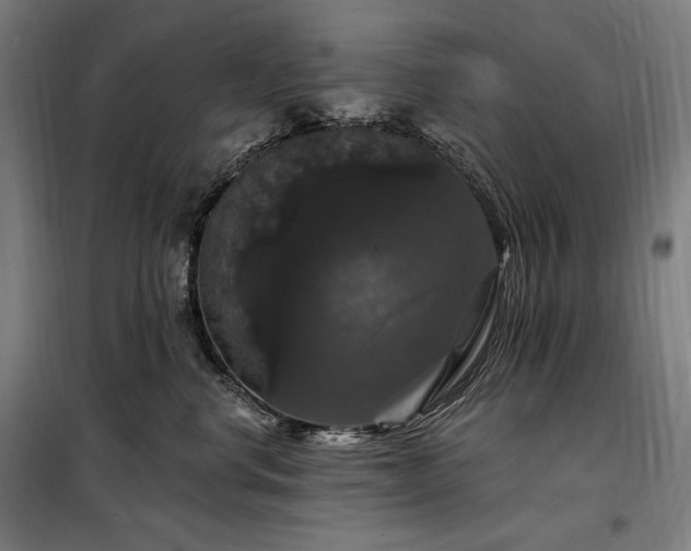 X0000097990668200804021010
