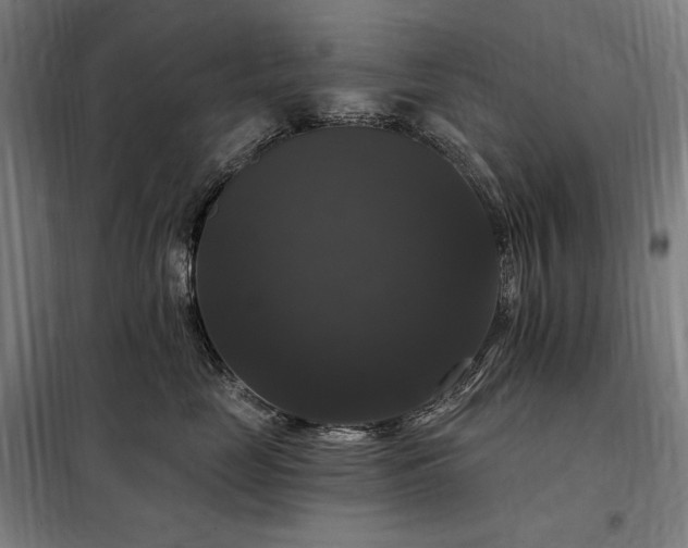 X0000097990669200804021010