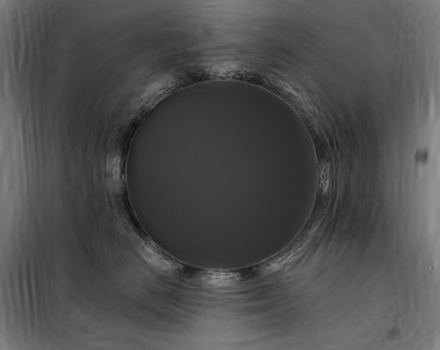 X0000097990670200804021010