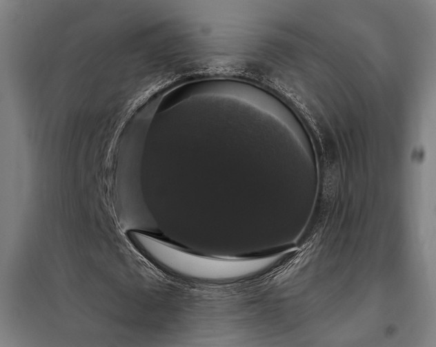X0000097990673200804021009