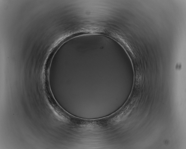 X0000097990674200804021009