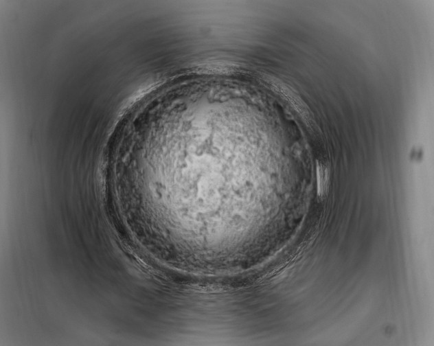 X0000097990675200804021009