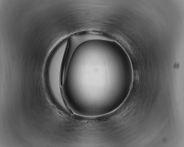 X0000097990676200804021009