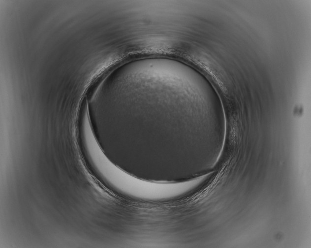 X0000097990677200804021009
