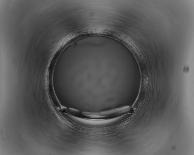 X0000097990678200804021009