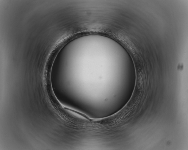 X0000097990680200804021009