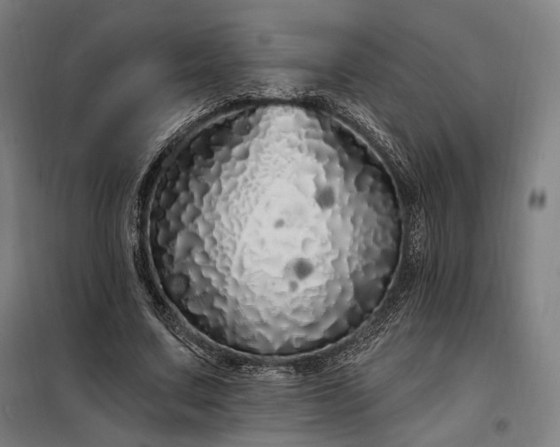 X0000097990683200804021009
