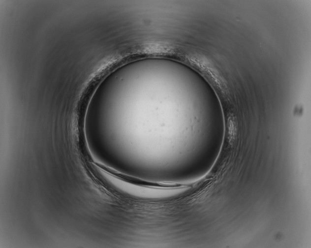 X0000097990684200804021009