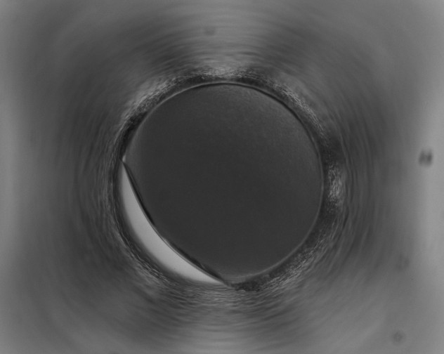 X0000097990685200804021009