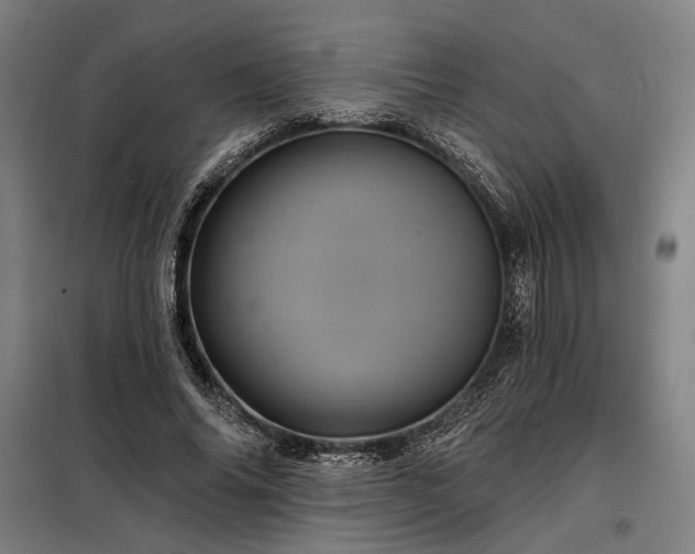 X0000097990686200804021009