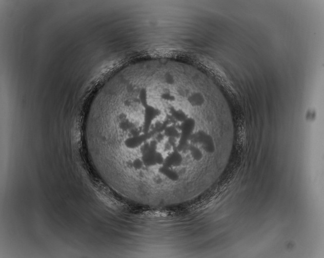 X0000097990687200804021009