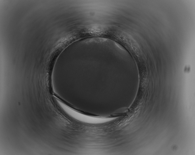 X0000097990689200804021009