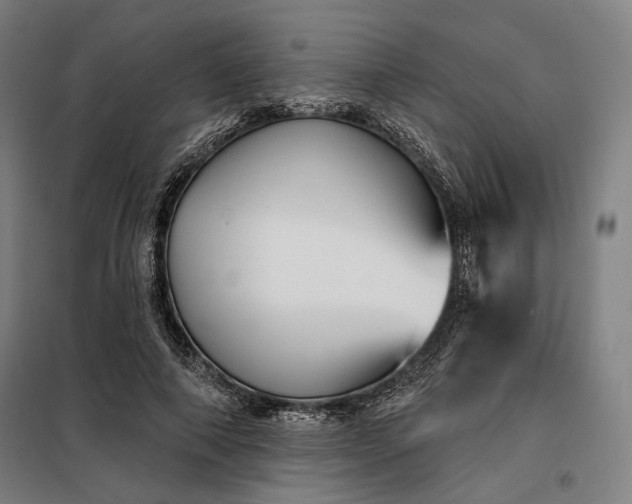 X0000097990690200804021009