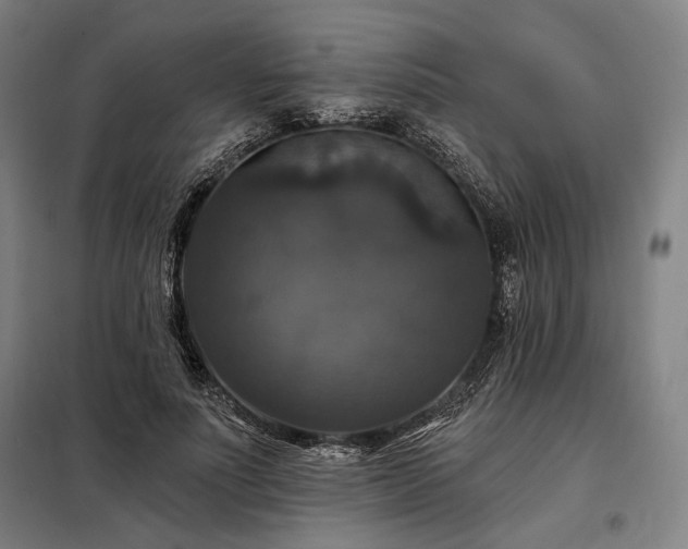 X0000097990691200804021009